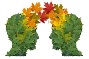 Deux têtes de profil faites de feuilles d’érable, vertes puis rouges
